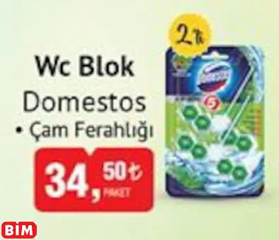 DOMESTOS WC BLOK DOMESTOS WC BLOK